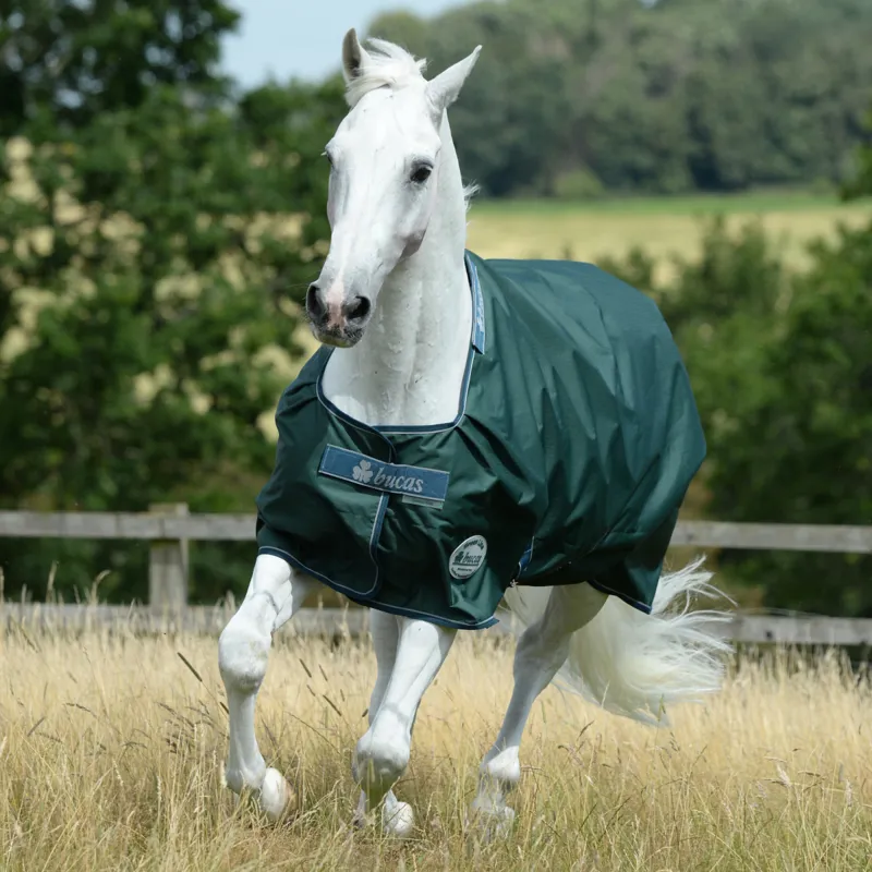 Bucas Green-Line 300g Standard Neck Turnout Rug - Green